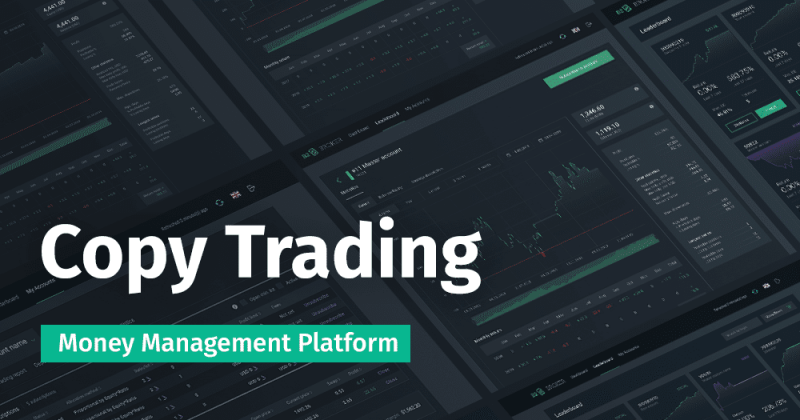 Capitalise on the Copy Trading Trend with B2Broker Investment Platform