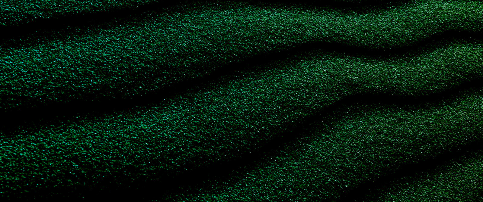 이더리움과 카르다노에 투자하는 미국 하원의원