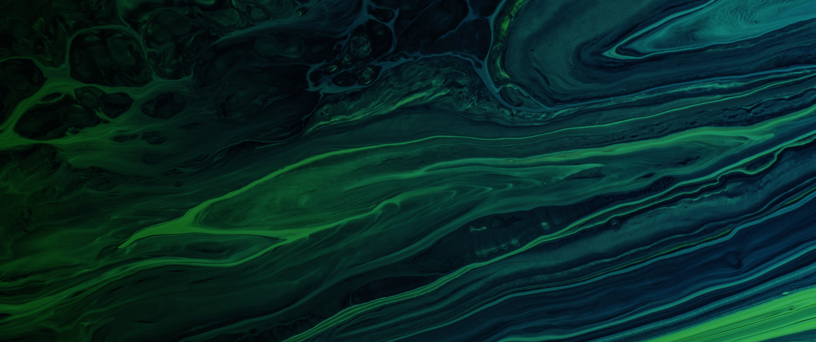 이더리움이 비트코인을 뛰어넘을 것이라고 예측하는 골드만 삭스