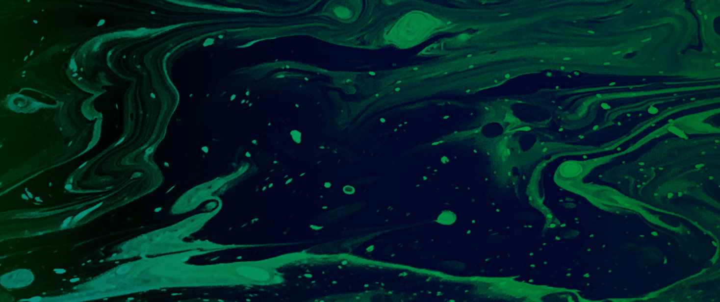 BTC 가격에 기름을 부은 최초의 비트코인 ETF %sep% %sitename%