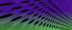 Frame 60233