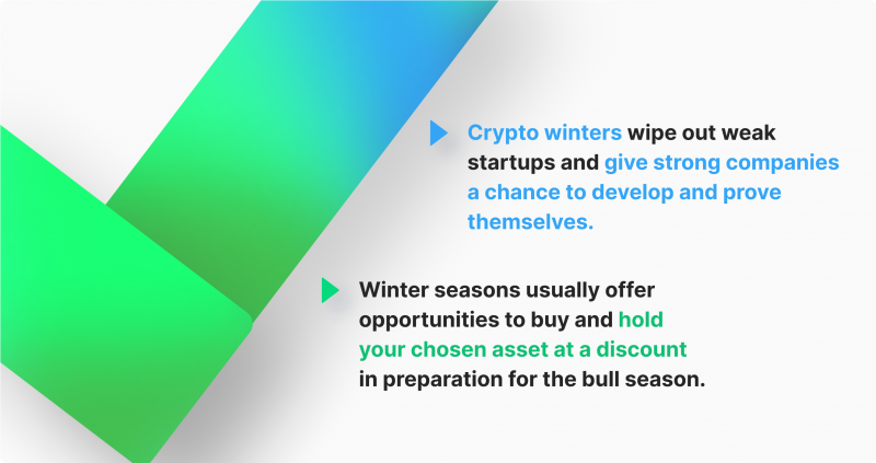 Advantages of Crypto winter
