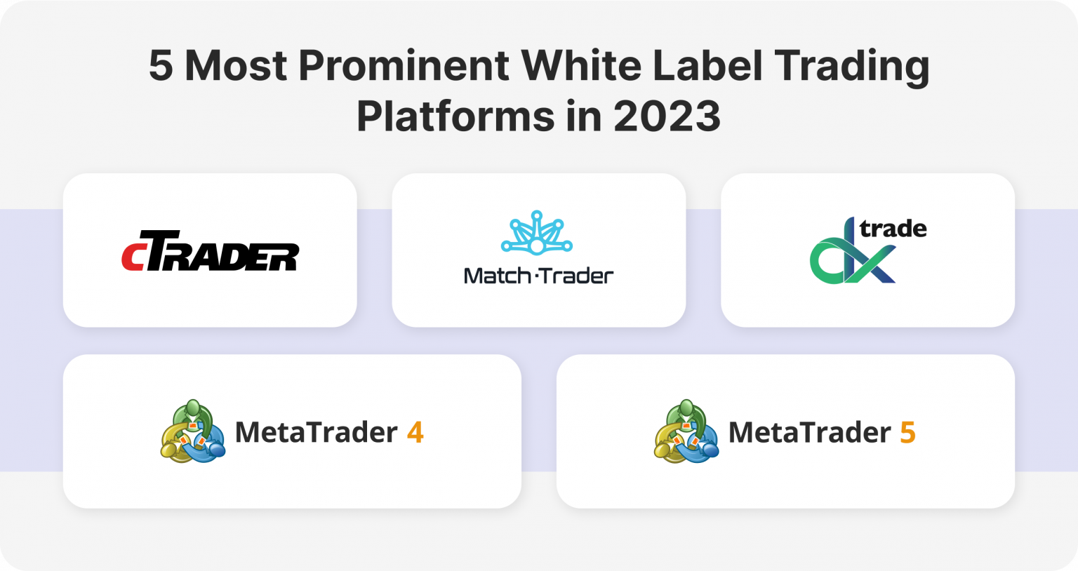 Best White Label Trading Platform in 2023
