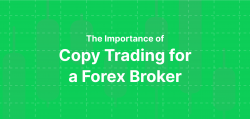 The Importance of Copy Trading for A Forex Broker.
