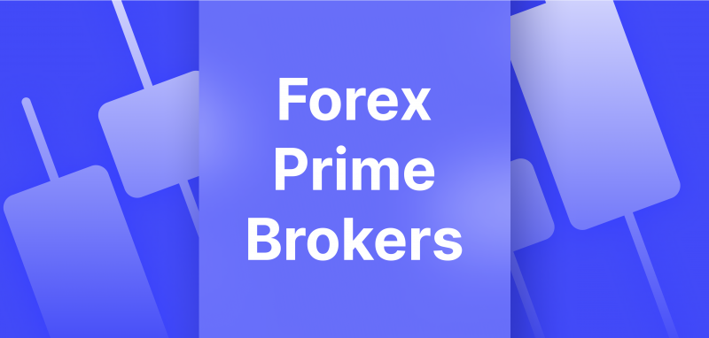 Who Are Forex Prime Brokers?