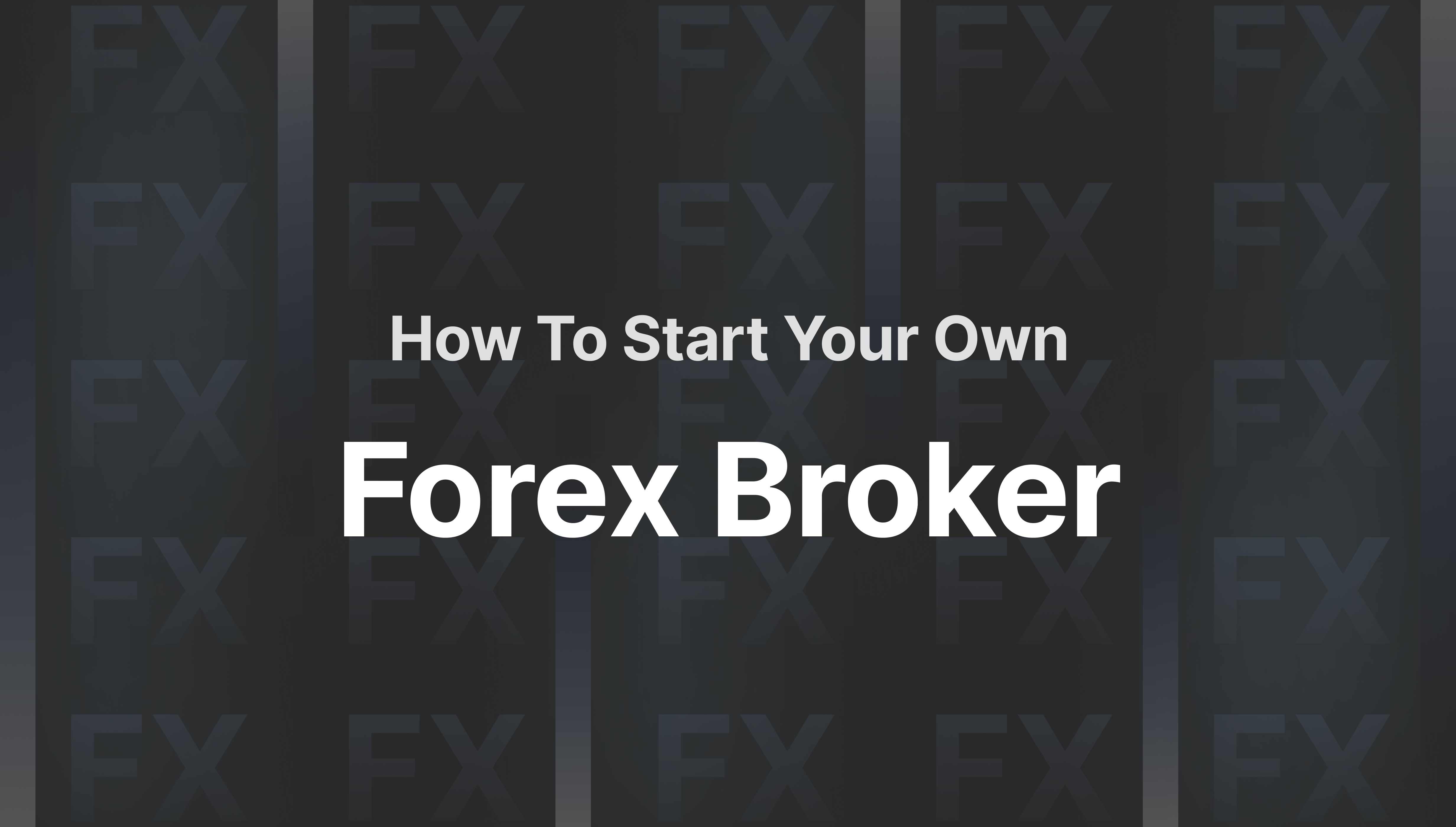 https://media.b2broker.com/app/uploads/2024/01/how-to-start-forex-broker-business.png