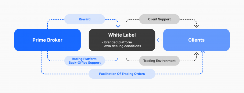 white label forex broker model