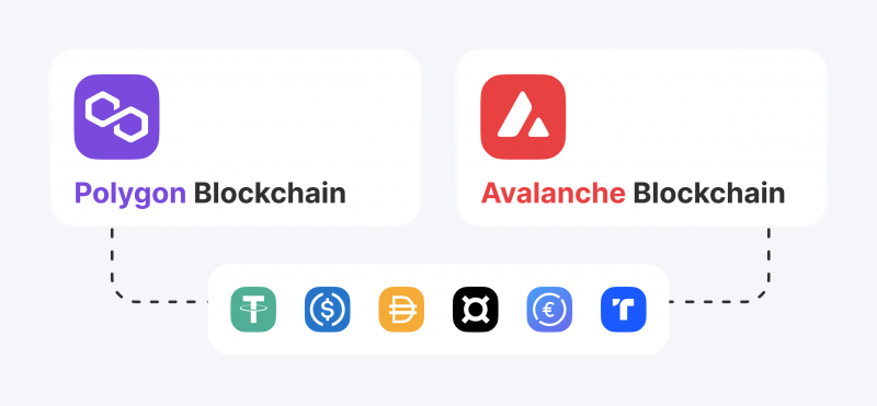 Polygon and Avalanche Blockchains Are Now Available
