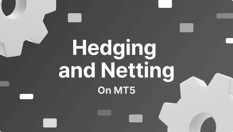 The Difference Between Hedging and Netting on MT5