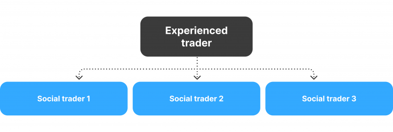 What is Social Trading