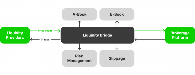 How Liquidity Bridges Work
