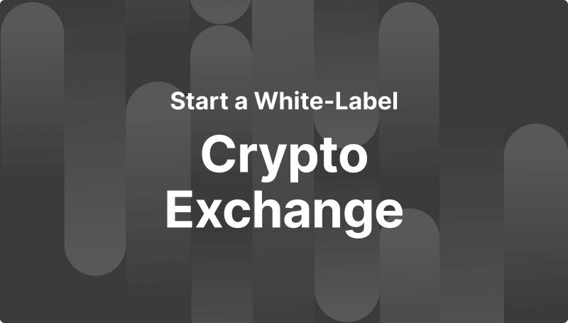 How to Start a White-Label Crypto Exchange in 2024