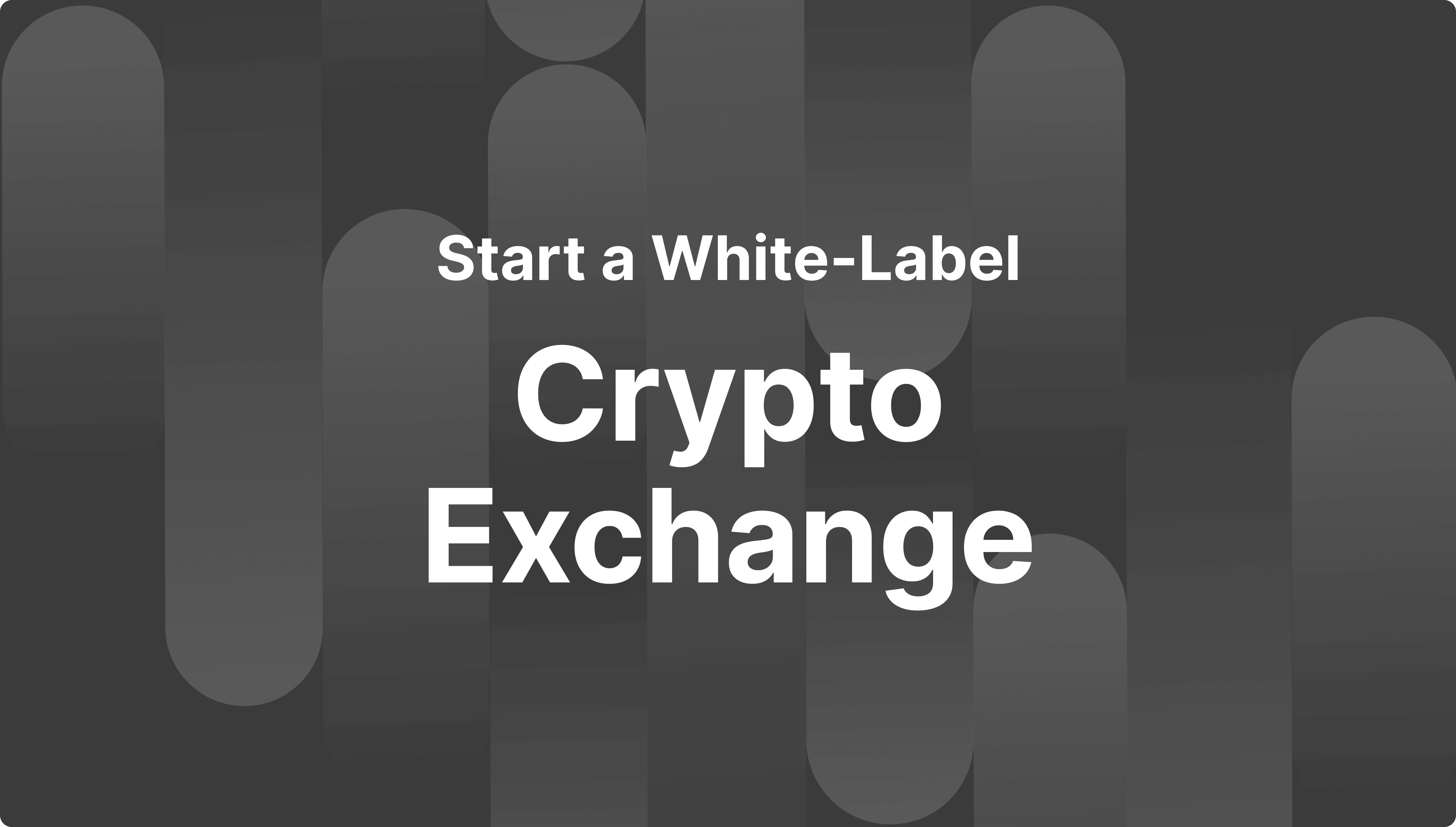 https://media.b2broker.com/app/uploads/2024/05/How-to-Start-a-White-Label-Crypto-Exchange-in-2024.png