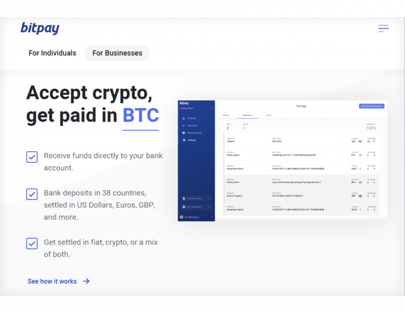BitPay wallet solution
