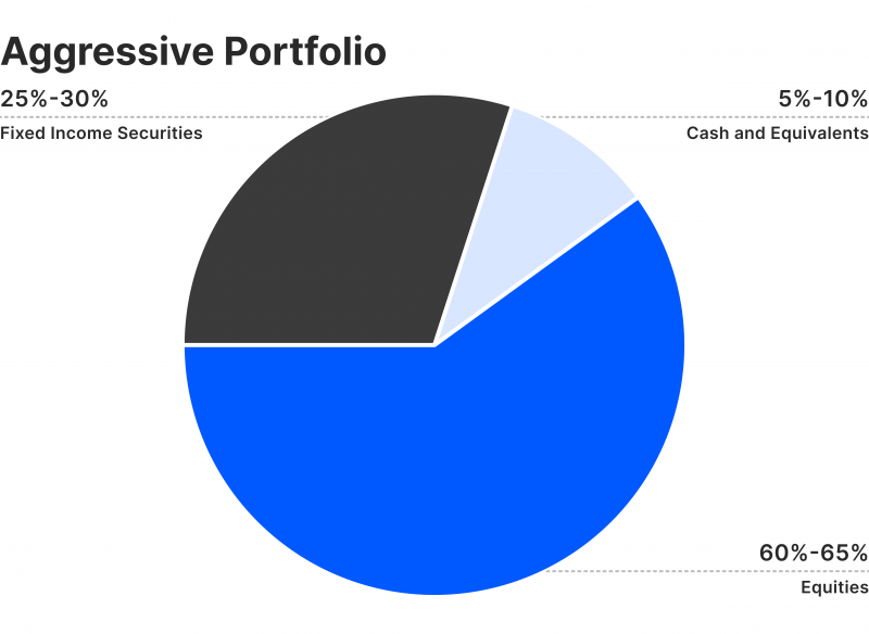 Aggressive asset allocation strategy