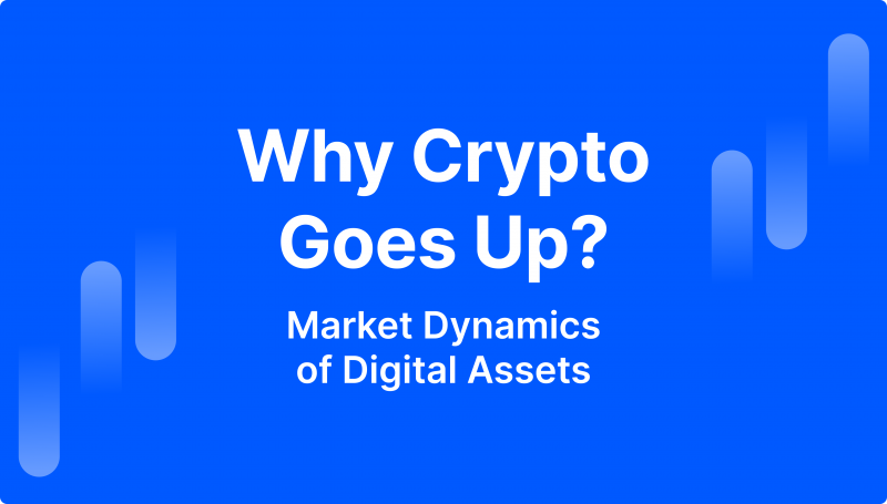Why Is Crypto Going Up?
