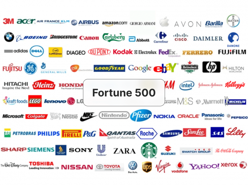 Fortune 500 companies