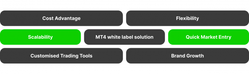 MetaTrader white label advantages