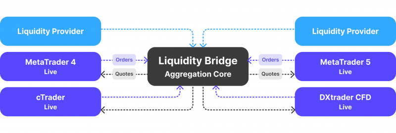 principles of operation of liquidity bridges