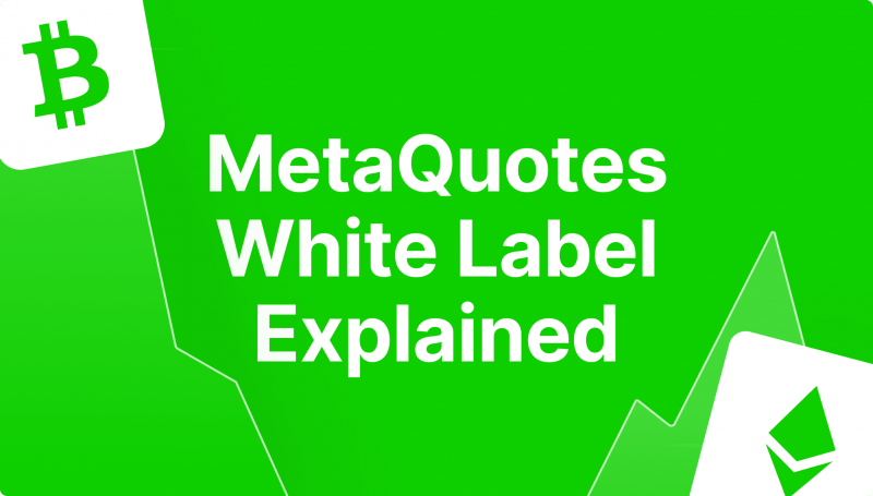 What Is MetaQuotes White Label, and How Does it Work?
