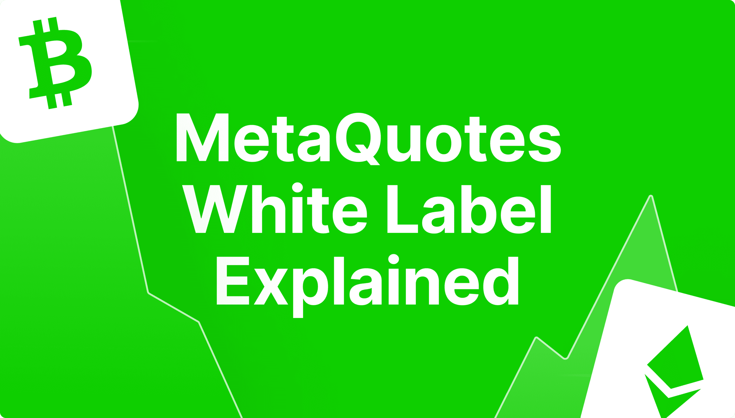 https://media.b2broker.com/app/uploads/2024/07/what-are-metaquotes-white-labels.png