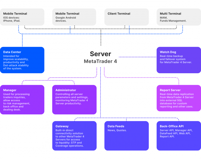 MT4 server structure scheme