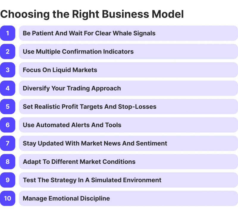 Best Practices for Implementing the Whale Scoop Strategy