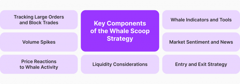 Key Components of the Whale Scoop Strategy