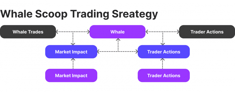 Whale Scoop Strategy working flow