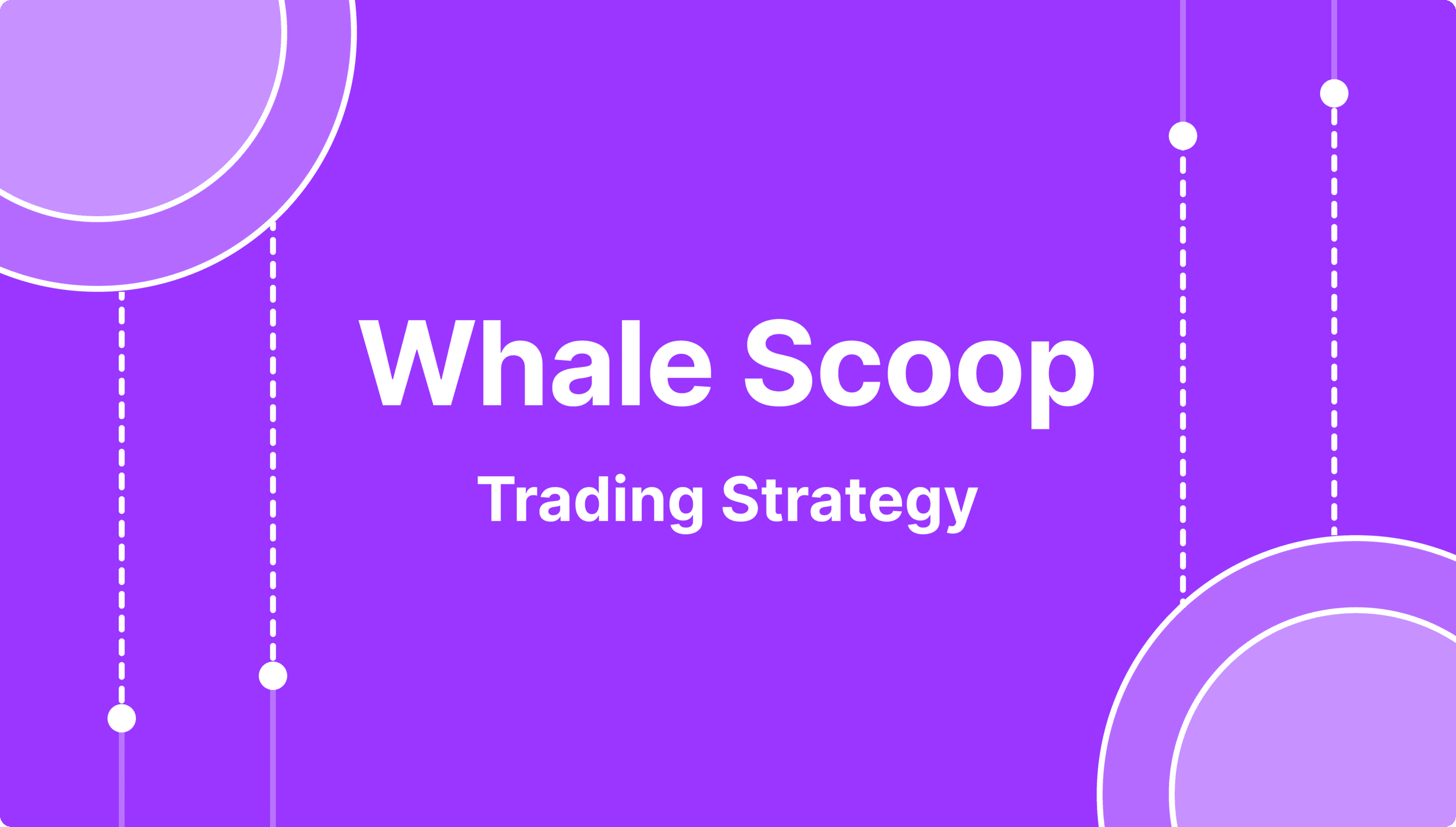 https://media.b2broker.com/app/uploads/2024/10/Whale-Scoop-Trading-Strategy.png