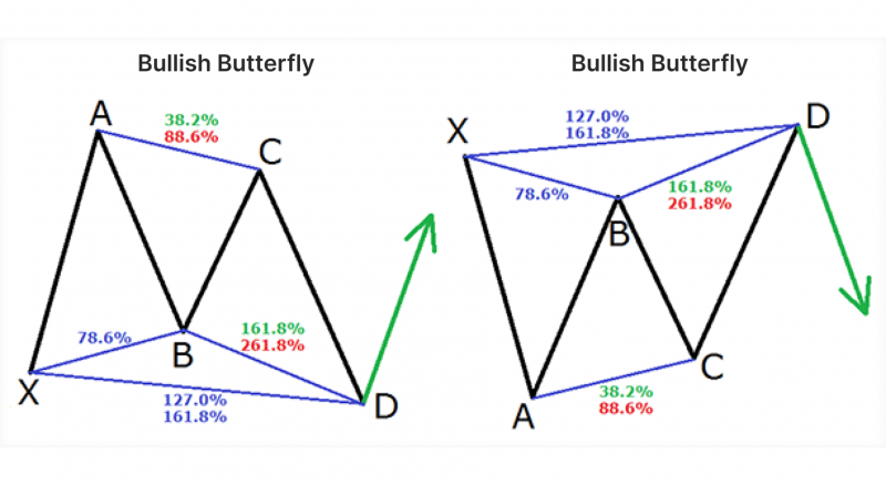 bullish and bearish Butterfly Pattern visual representation