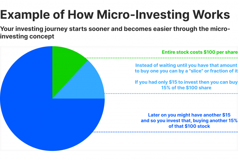 example of micro investing strategy working principle