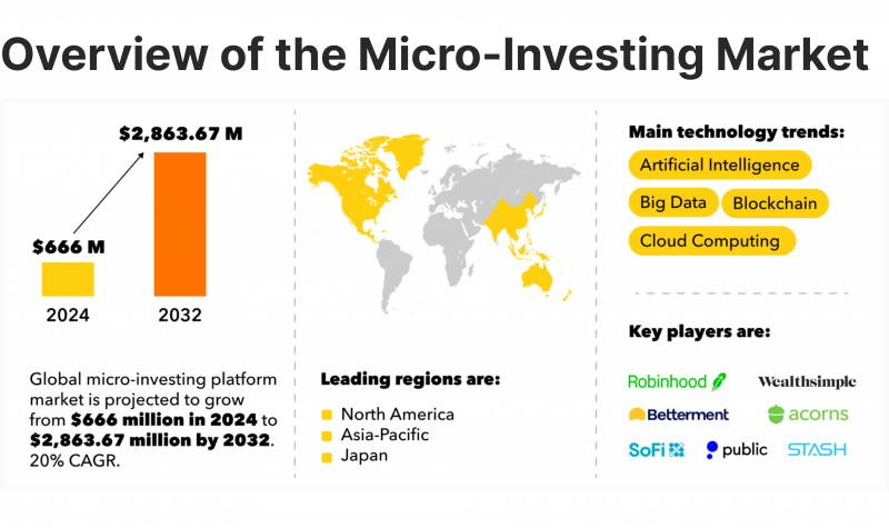 micro-investment market infographics