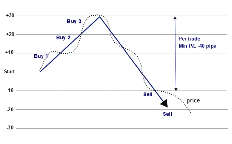 hedged grid example