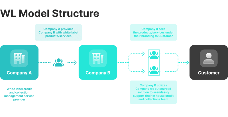 the structure of WL model